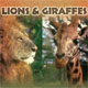 PBS-lions and giraffes