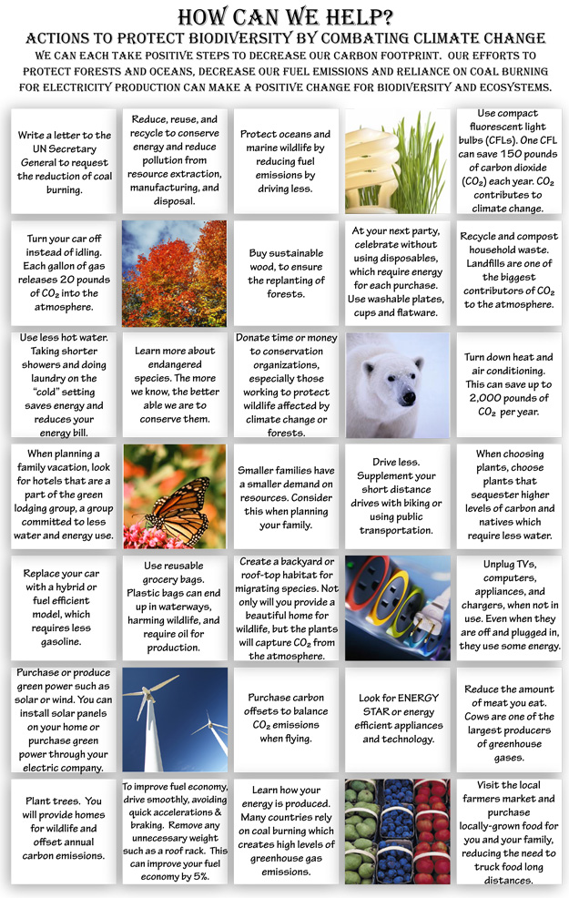 year of the forests action grid